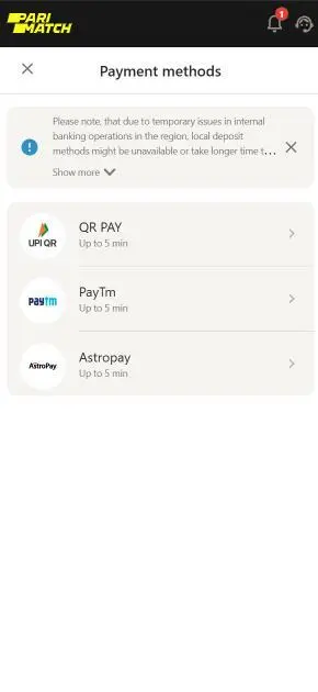 Parimatch Payment Methods